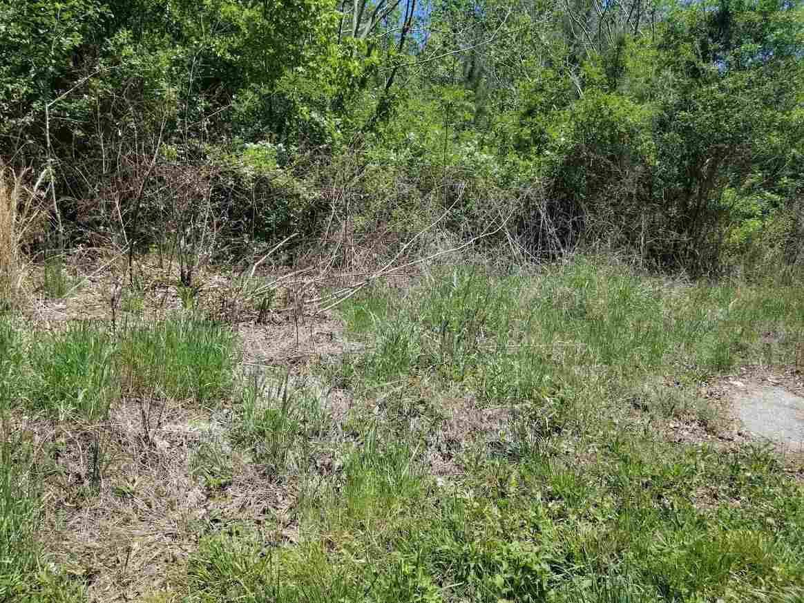 Tbd South Green River Road Cowpens, SC 29330 - Photo 2 of 6