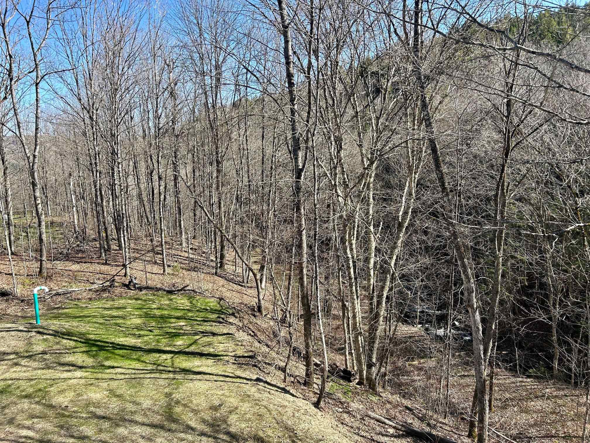 1001 Highway 65 Brookfield, VT 05036 - Photo 44 of 48
