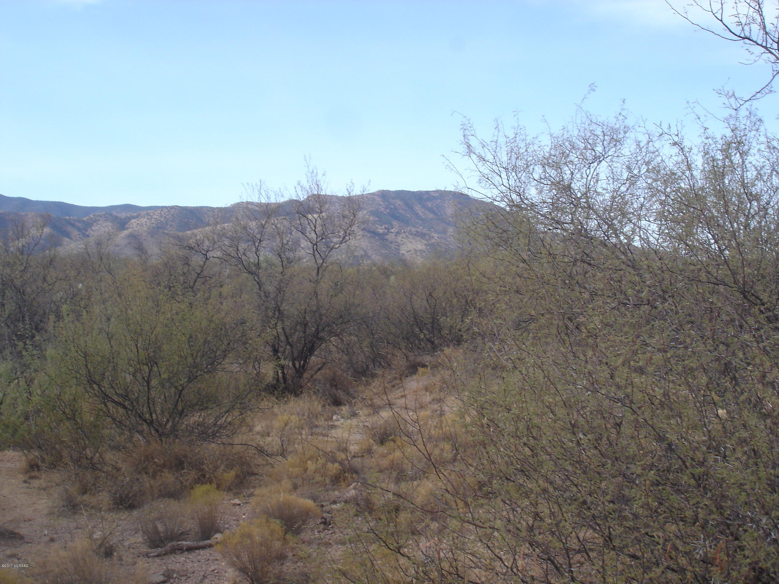 81735 East Goldbug Road, Unit 38S Oracle, AZ 85623 - Photo 8 of 8
