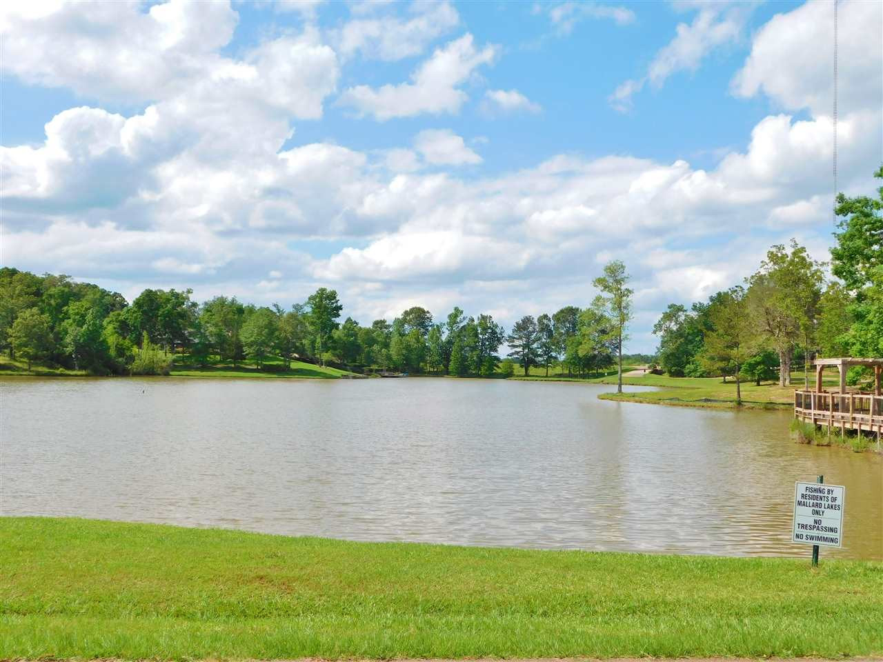 15 Drake Landing Raymond, MS 39154 - Photo 45 of 49 Photo 45