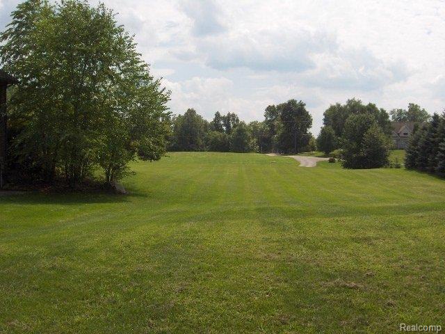 Immaculate Grounds