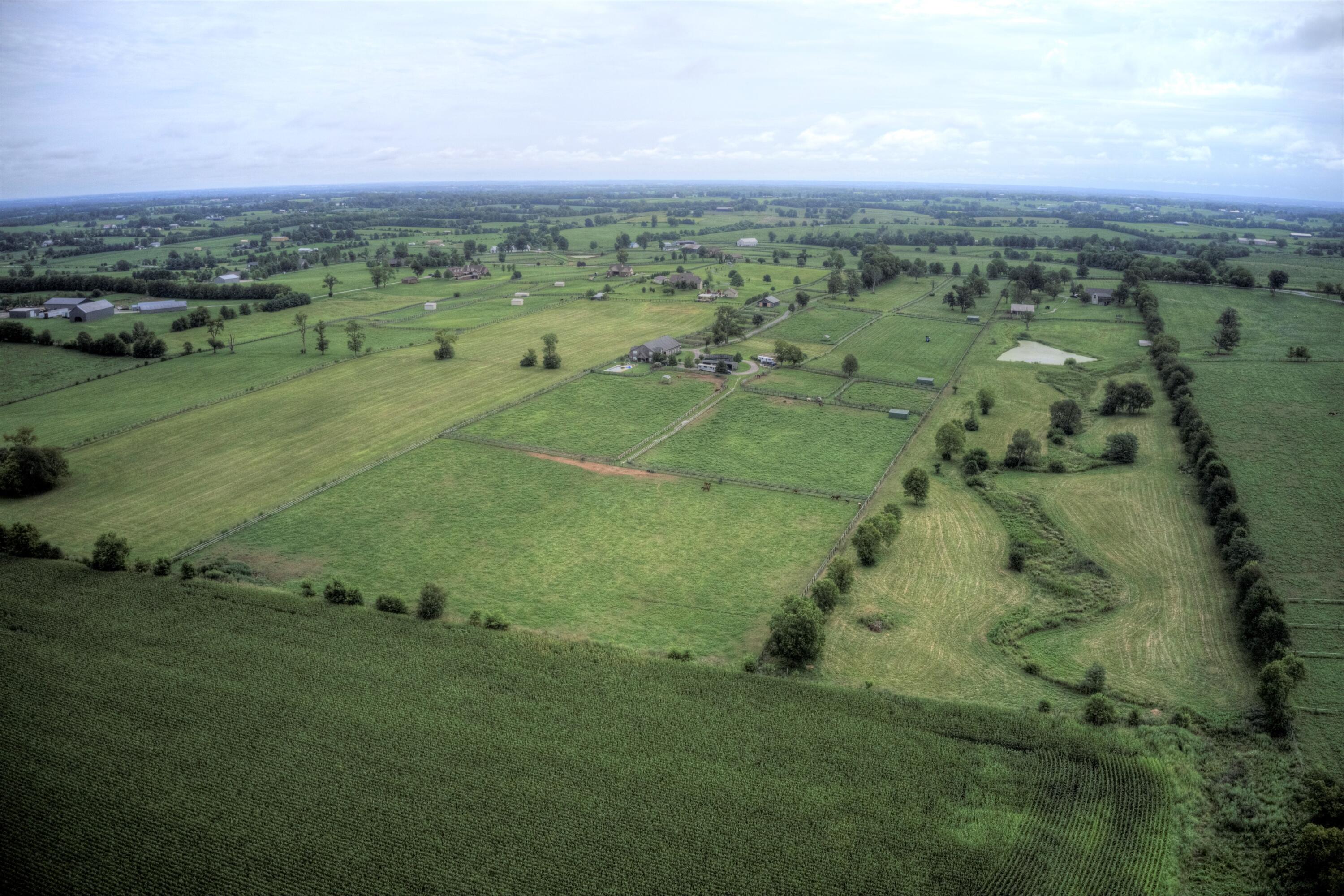 1662 Bethlehem Road Paris, KY 40361 - Photo 17 of 48 DJI_0333 1662 Bethlehem Road35