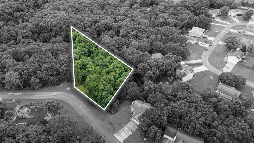 Lot 65 Southeast 591st Road Warrensburg, MO 64093 - Photo 4 of 11