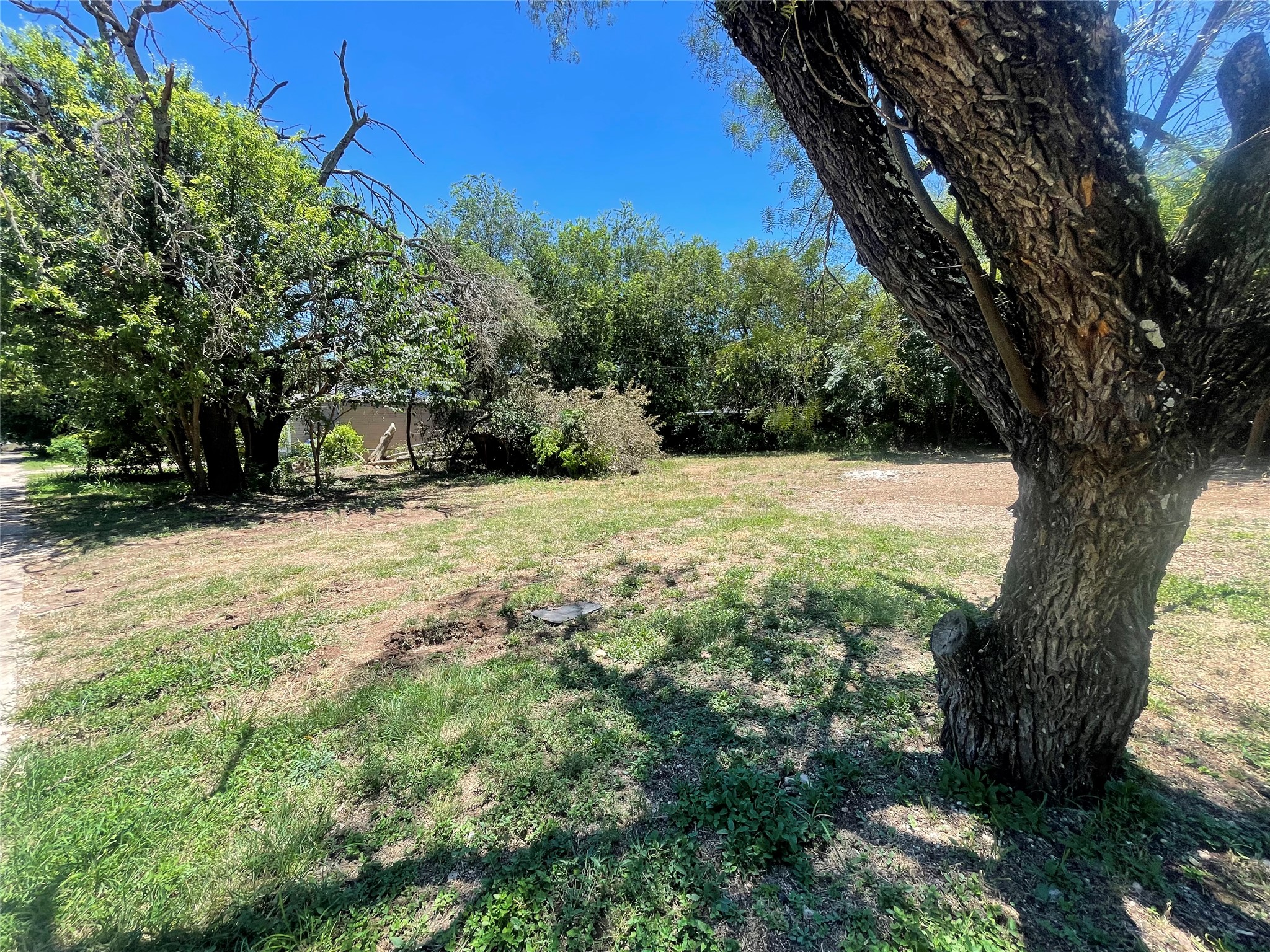 11512 Main Street Jonestown, TX 78645 - Photo 11 of 14 View of grassy yard
