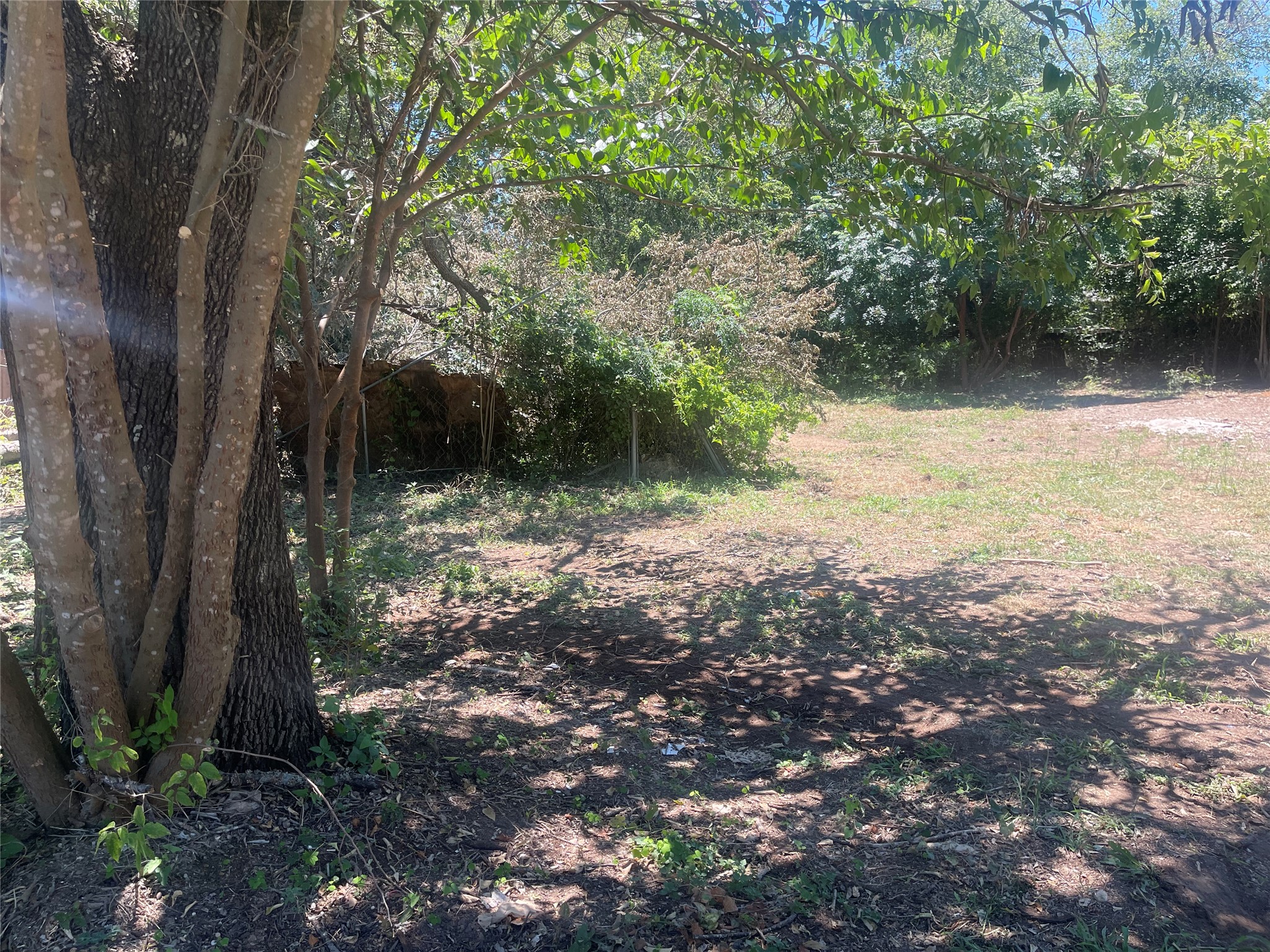 11512 Main Street Jonestown, TX 78645 - Photo 3 of 14 View of yard