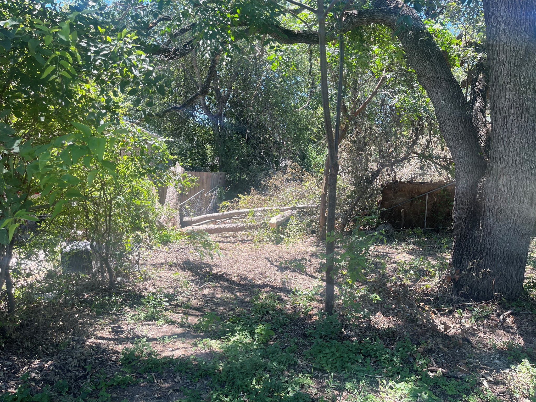 11512 Main Street Jonestown, TX 78645 - Photo 4 of 14 View of yard