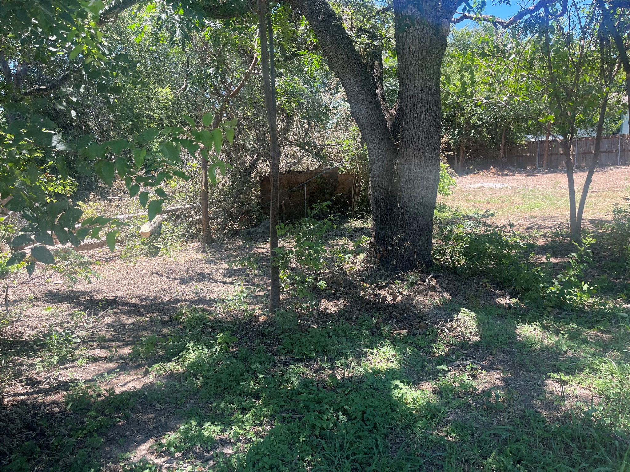11512 Main Street Jonestown, TX 78645 - Photo 5 of 14 View of yard