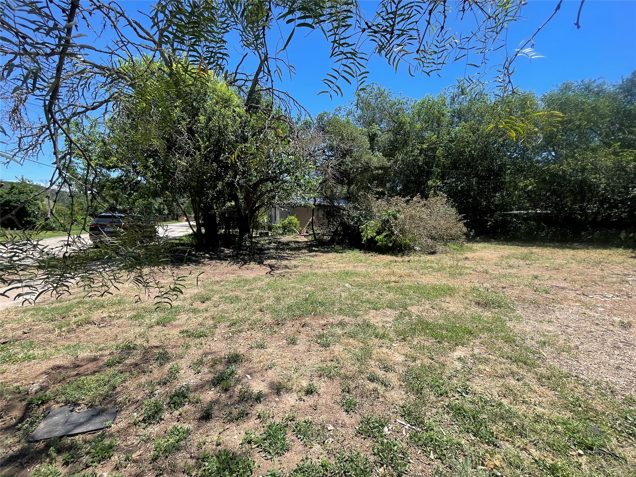 11512 Main Street Jonestown, TX 78645 - Photo 8 of 14 View of yard