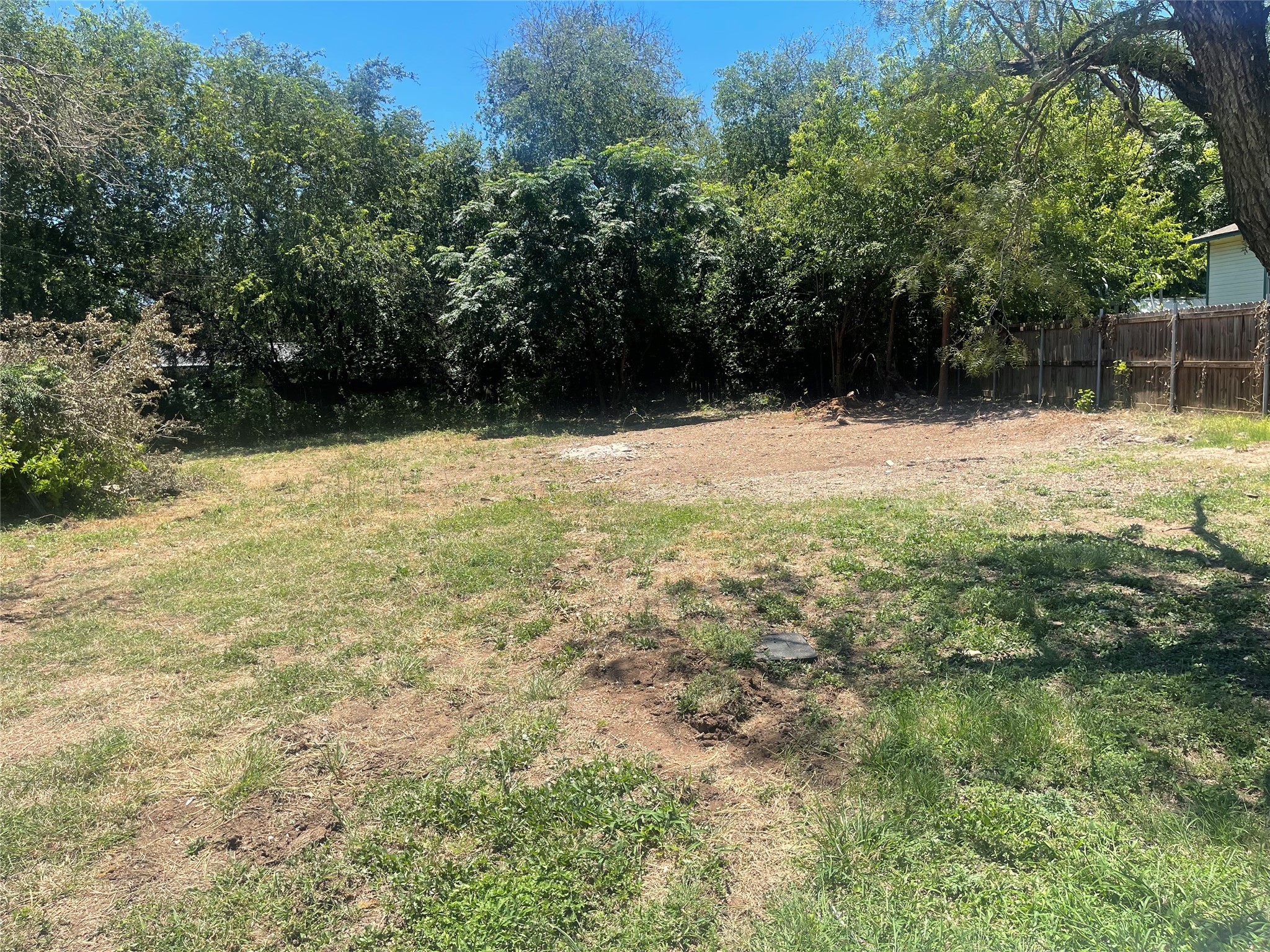 11512 Main Street Jonestown, TX 78645 - Photo 10 of 14 View of yard