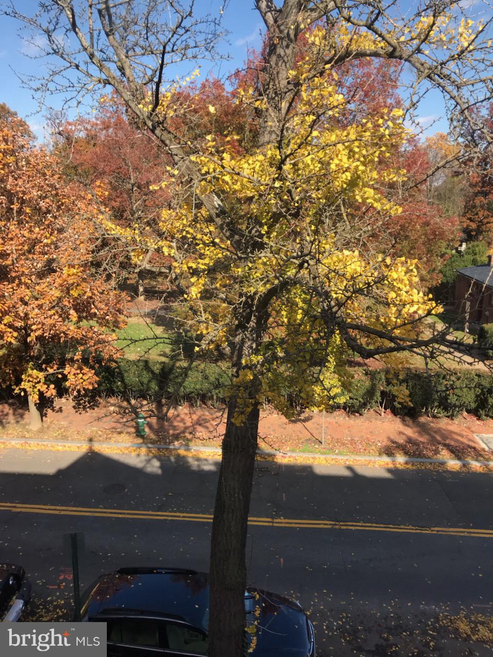 3022 R Street Northwest, Unit 3 Washington, DC 20007 - Photo 2 of 24 View of Montrose Park from Living Room Windows.
