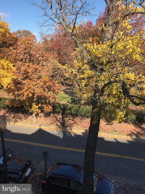 3022 R Street Northwest, Unit 3 Washington, DC 20007 - Photo 23 of 24 View over Montrose Park and R Street.