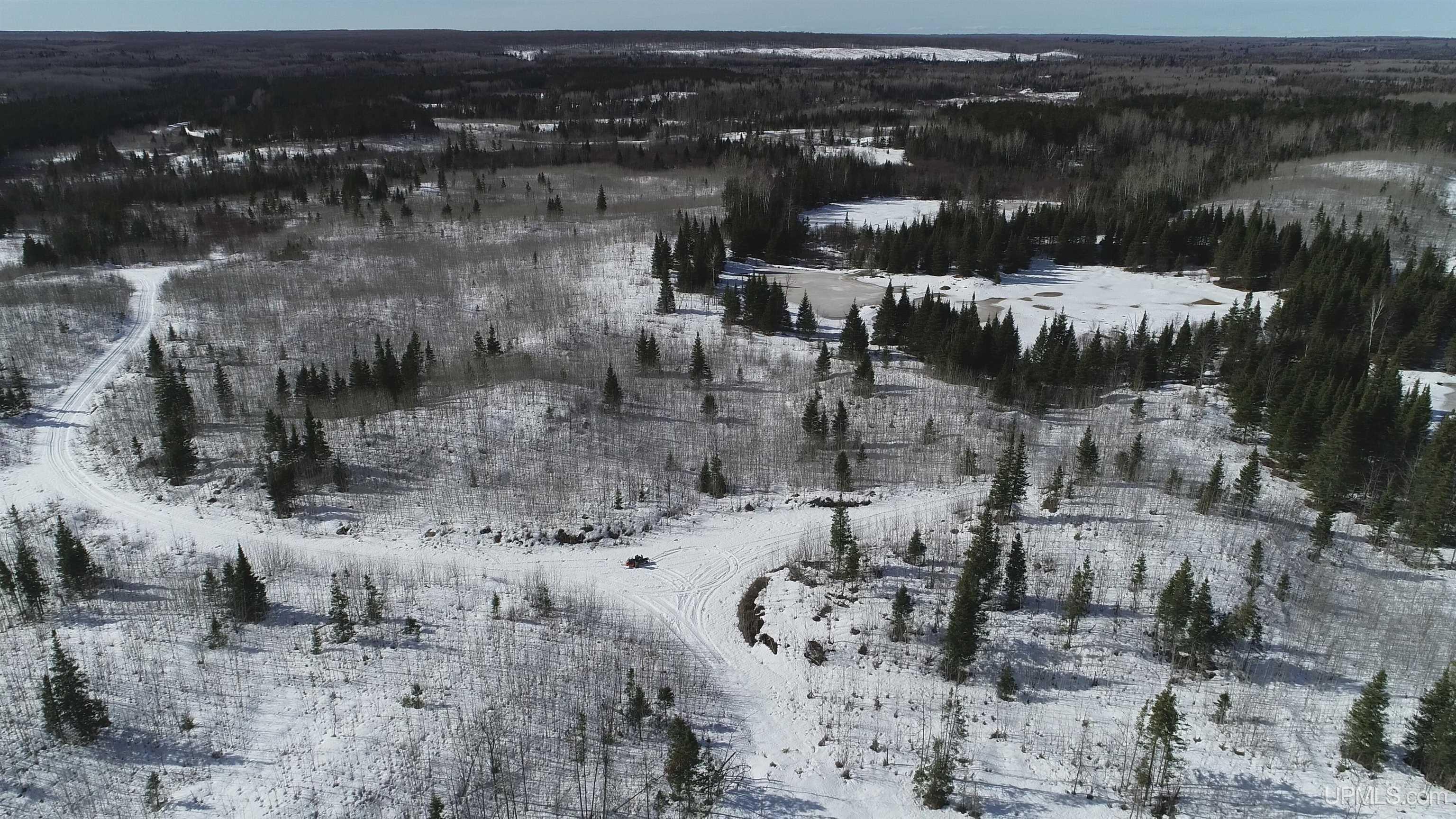 80-acres 80-acres 18th Road Republic, MI 49879 - Photo 17 of 25