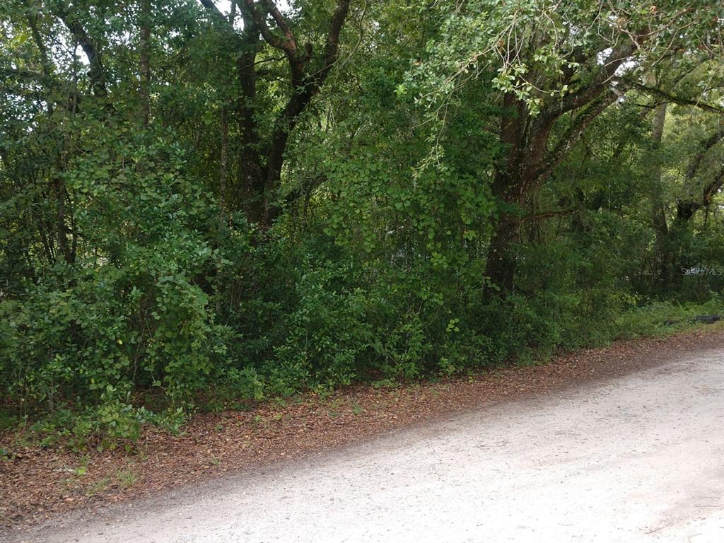 18000 Riggins Road Brooksville, FL 34610 - Photo 1 of 1 Gallery Image 1