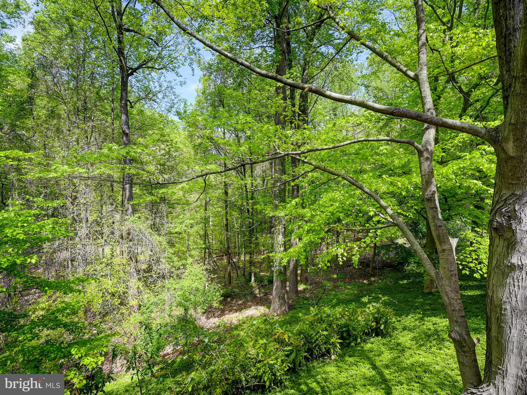 2004 Burdock Road Baltimore, MD 21209 - Photo 7 of 10 VIEW FROM DECK