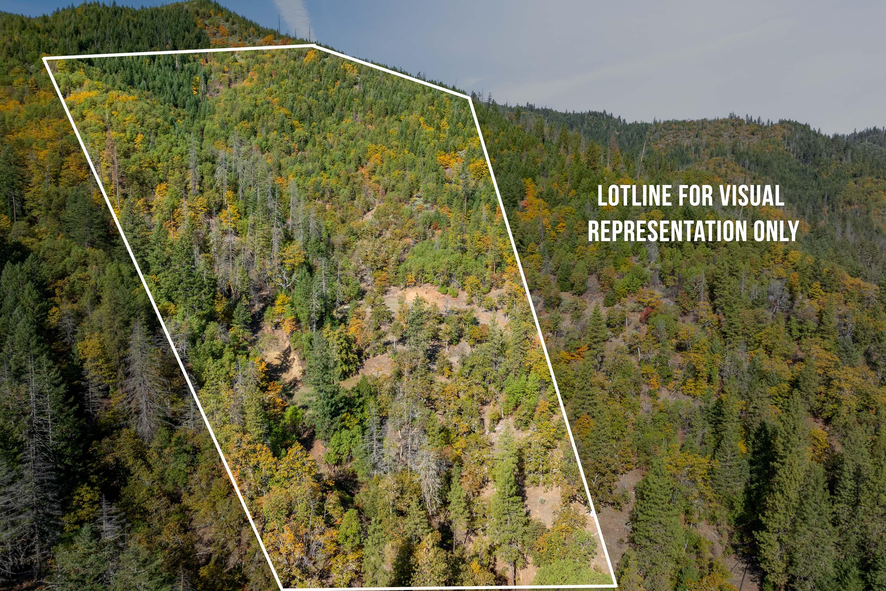 0 Sardine Creek Road Gold Hill, OR 97525 - Photo 1 of 20 LOTLINE (1 of 1)