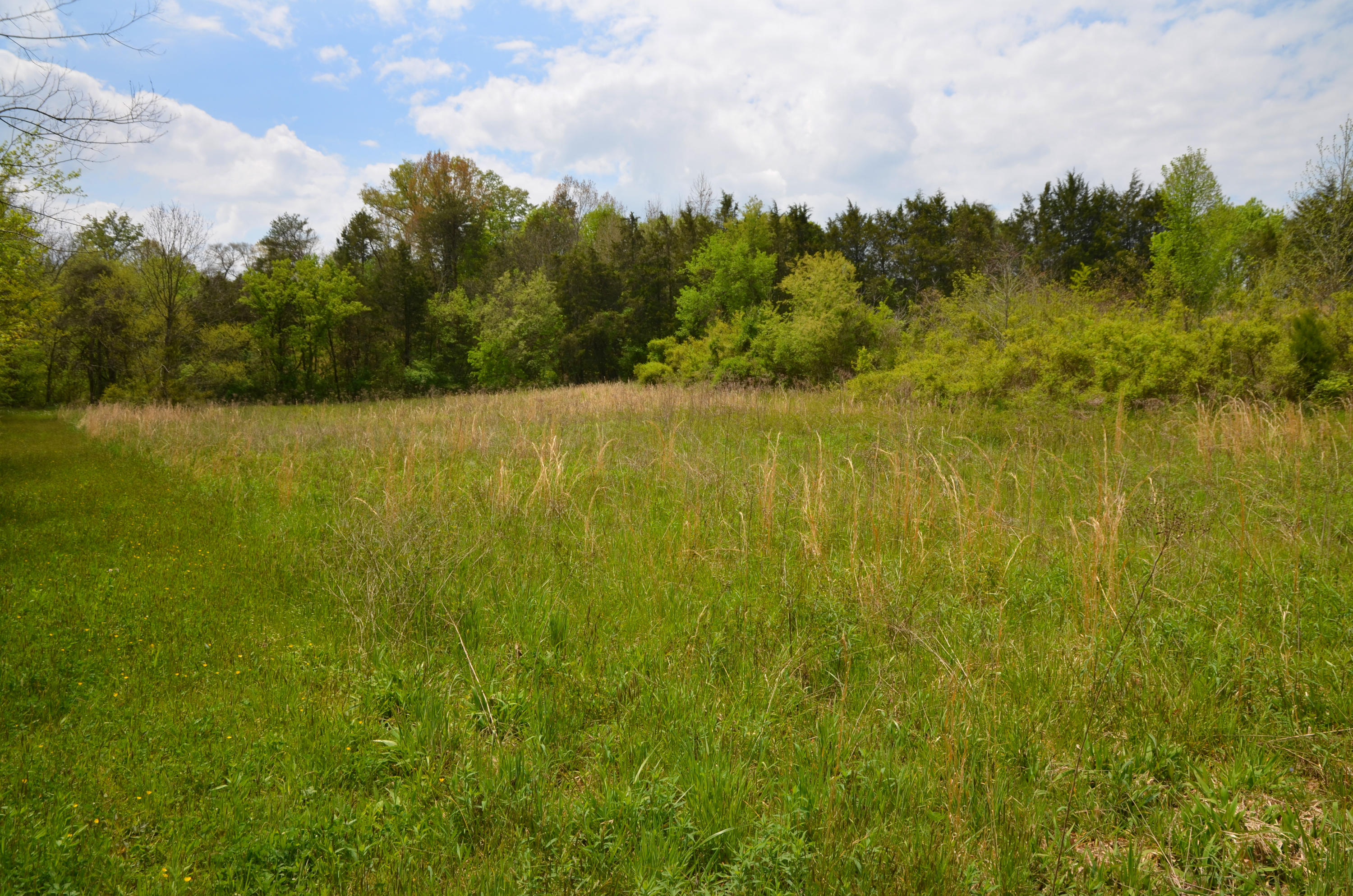 6812 East Emory Road Knoxville, TN 37918 - Photo 14 of 17 Back