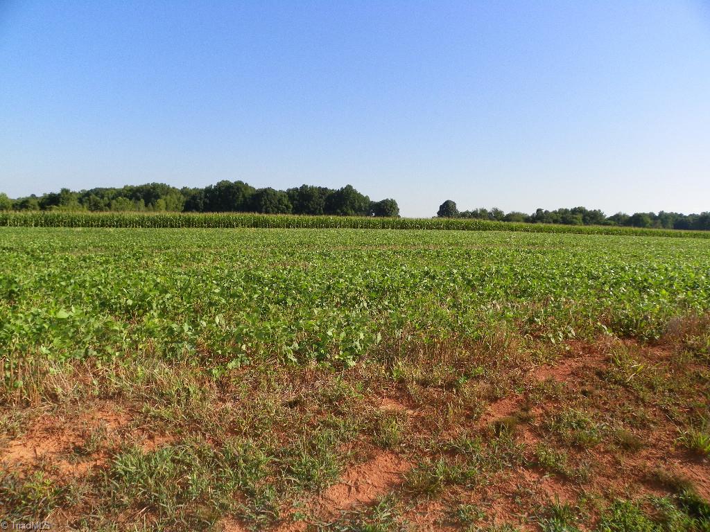 750 Tyro Road Lexington, NC 27295 - Photo 1 of 2 Gallery Image 1