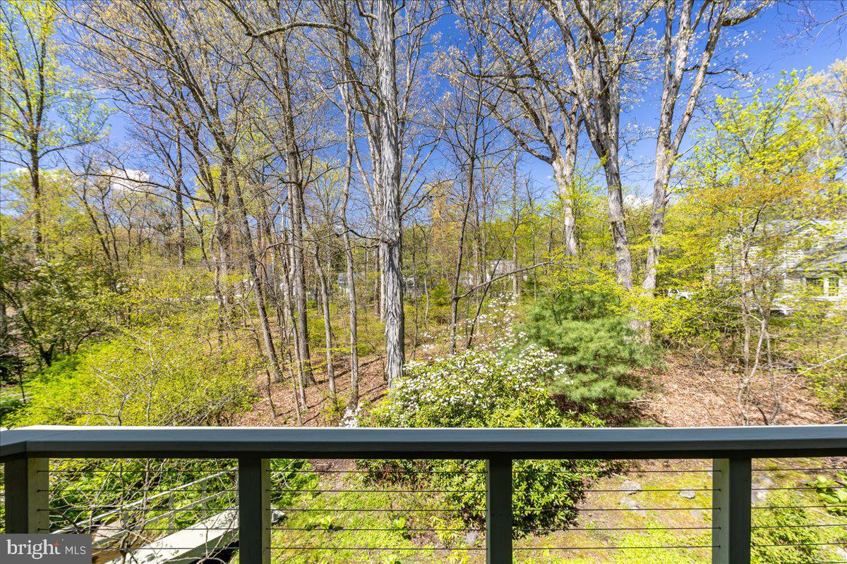 140 Laurel Road Princeton, NJ 08540 - Photo 42 of 54 Views of Yard