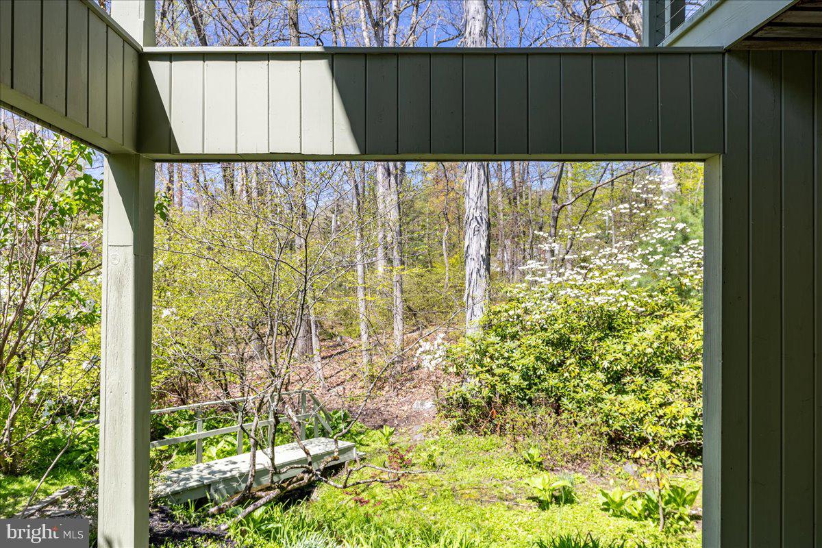 140 Laurel Road Princeton, NJ 08540 - Photo 43 of 54 Views of yard