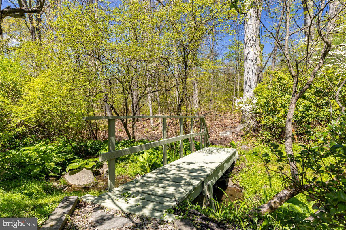 140 Laurel Road Princeton, NJ 08540 - Photo 44 of 54 Views of yard