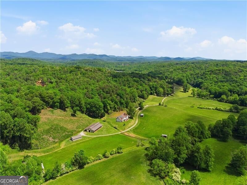 619 Hamp Mill Road Dahlonega, GA 30533 - Photo 101 of 118