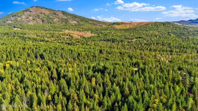 $439,000 | Y-for Y-For Road, Cocolalla, ID 83813