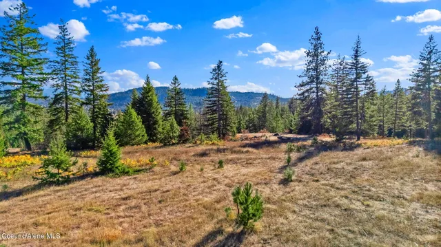 $439,000 | Y-for Y-For Road, Cocolalla, ID 83813
