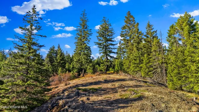 $439,000 | Y-for Y-For Road, Cocolalla, ID 83813