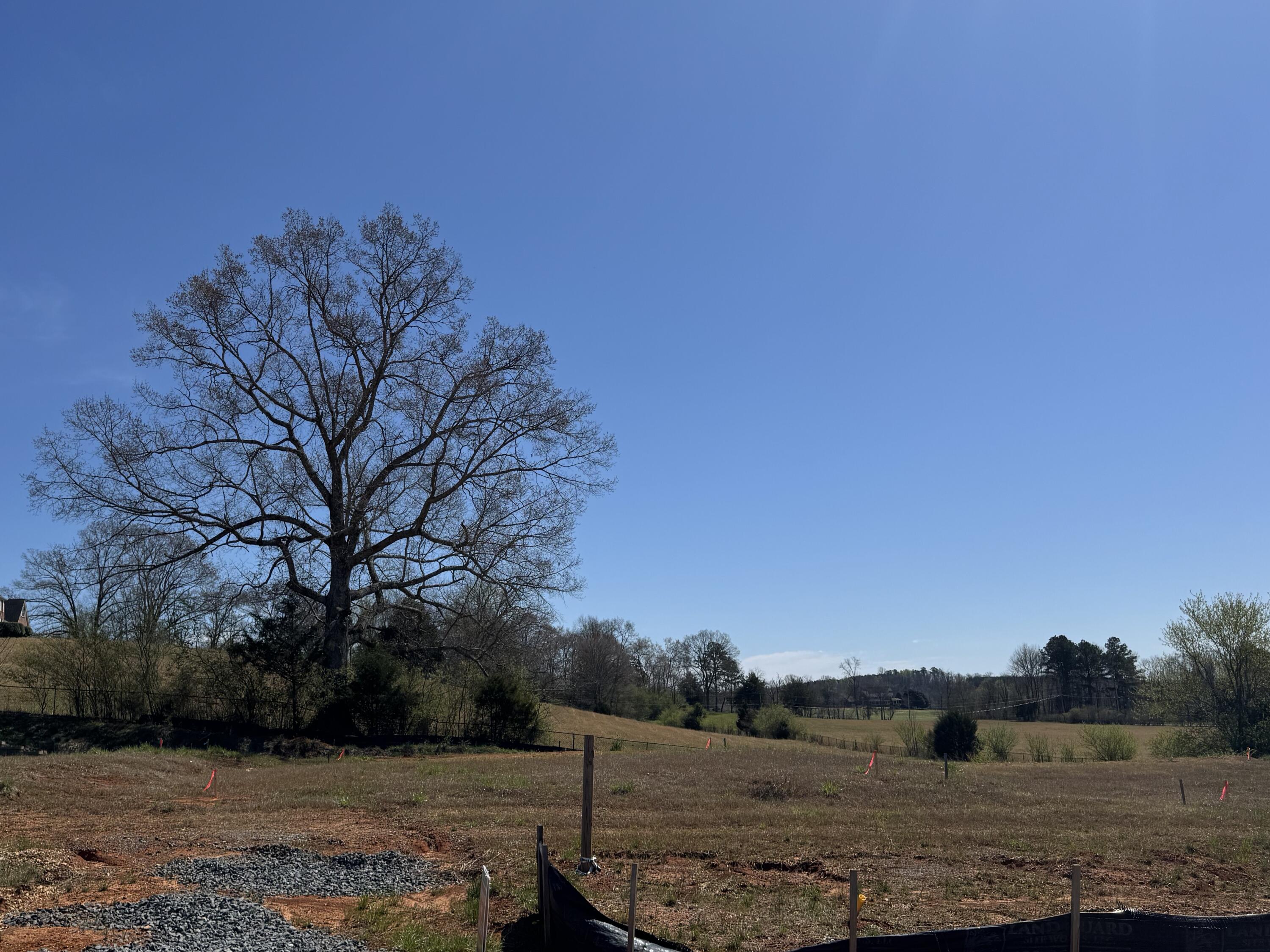 1465 Centerstone Lane Apison, TN 37302 - Photo 46 of 46 CPSTN 40 homesite