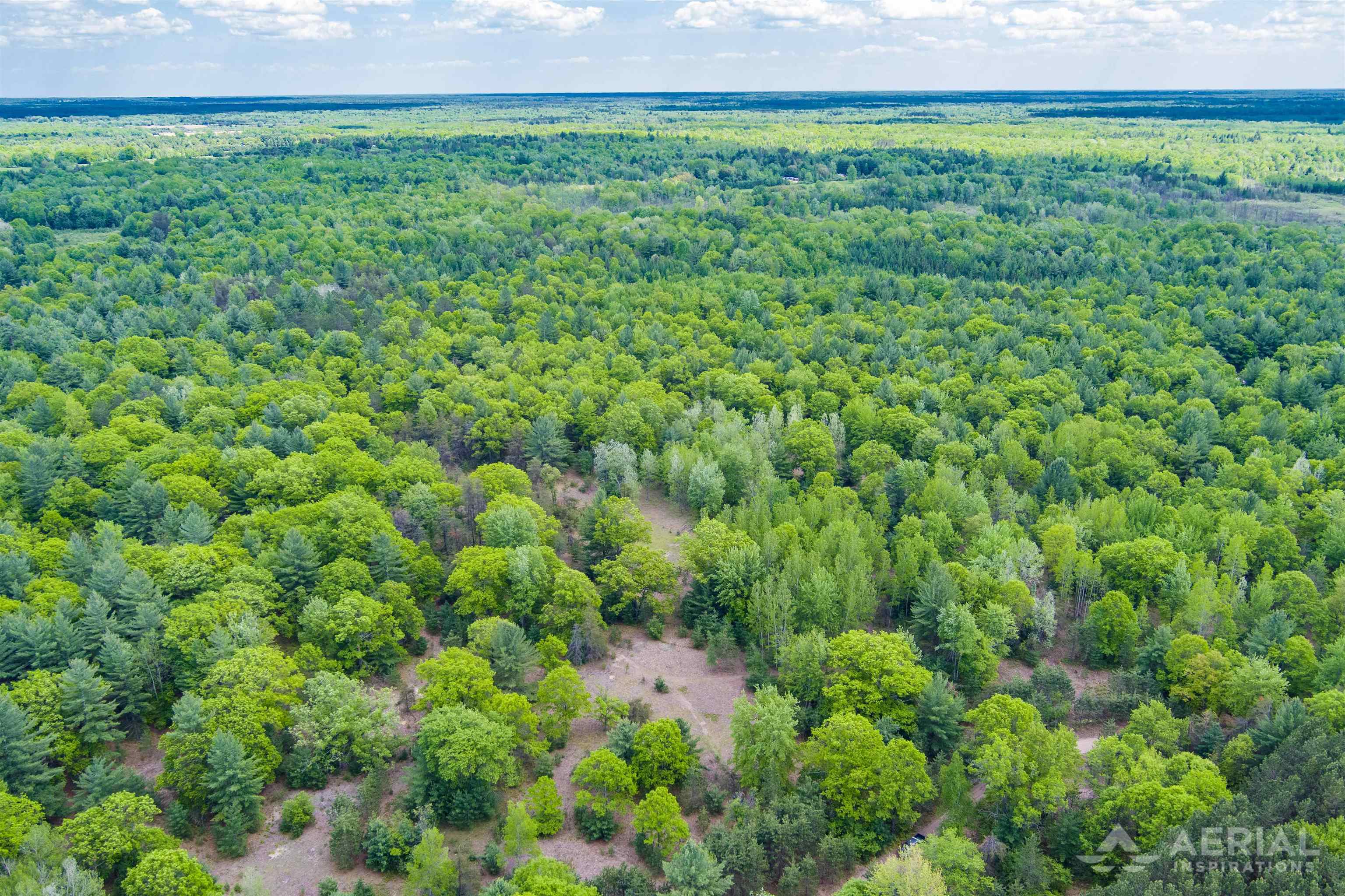 0 East Sugar River Road Alger, MI 48610 - Photo 2 of 12 Gallery Image 2