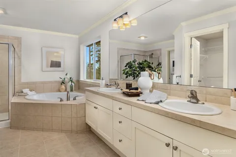 a bathroom with a double vanity sink bathtub and mirror