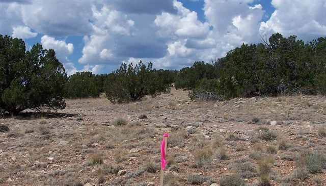 12 T14n R16e: S2 Ne4 Se4 Se4 Heber, AZ 85928 - Photo 2 of 4