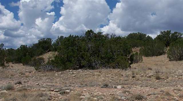 12 T14n R16e: S2 Ne4 Se4 Se4 Heber, AZ 85928 - Photo 3 of 4