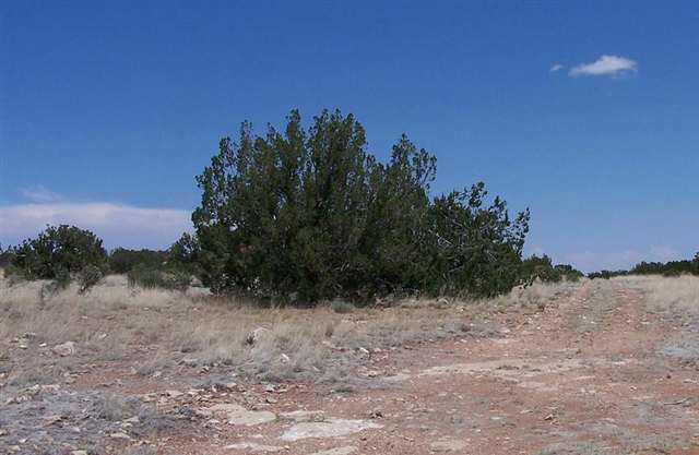 12 T14n R16e: S2 Ne4 Se4 Se4 Heber, AZ 85928 - Photo 4 of 4