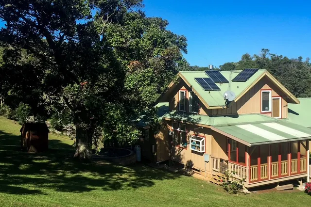 a view of a yard with plants and large trees