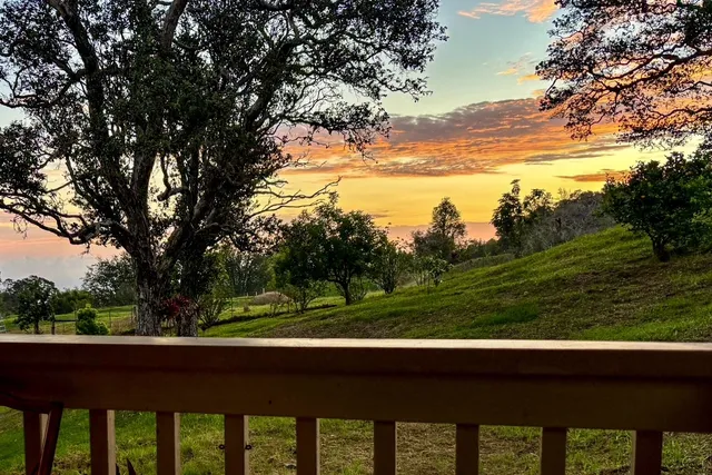 a view of outdoor space and yard