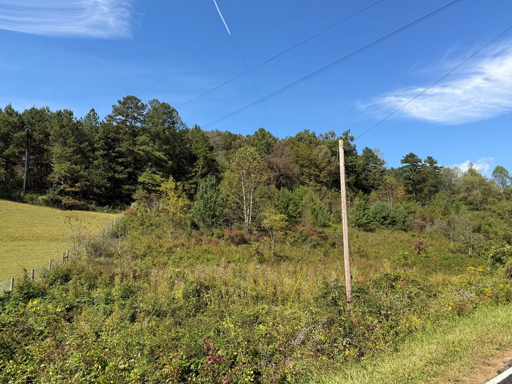 9.10 Oakgrove Road Murphy, NC 28906 - Photo 6 of 13