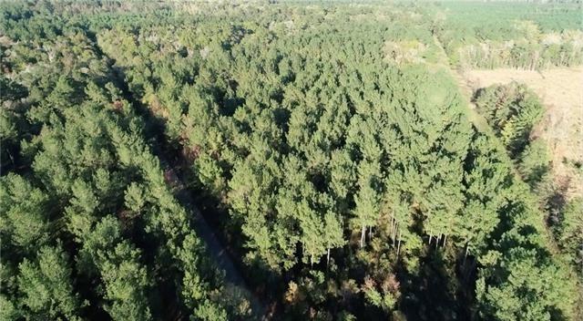 Clyde Blount Road Livingston, LA 70754 - Photo 5 of 11 Gallery Image 5