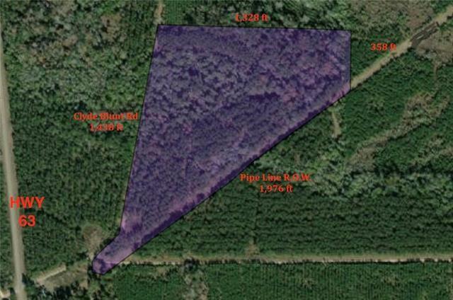 Clyde Blount Road Livingston, LA 70754 - Photo 6 of 11 Gallery Image 6