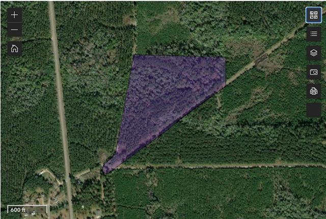 Clyde Blount Road Livingston, LA 70754 - Photo 7 of 11 Gallery Image 7