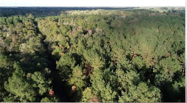 Clyde Blount Road Livingston, LA 70754 - Photo 9 of 11 Gallery Image 9