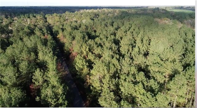 Clyde Blount Road Livingston, LA 70754 - Photo 10 of 11 Gallery Image 10