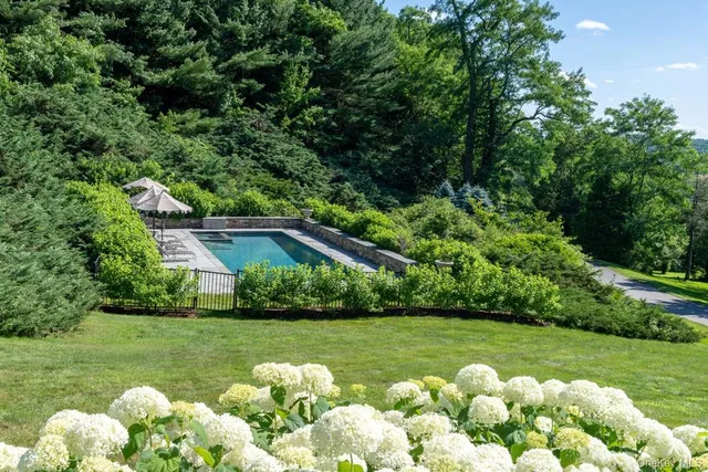 a bunch of flowers in bunch of green field