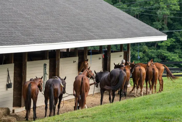 a view of outdoor space yard and patio