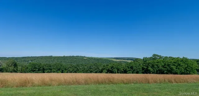 a view of a field with an ocean view