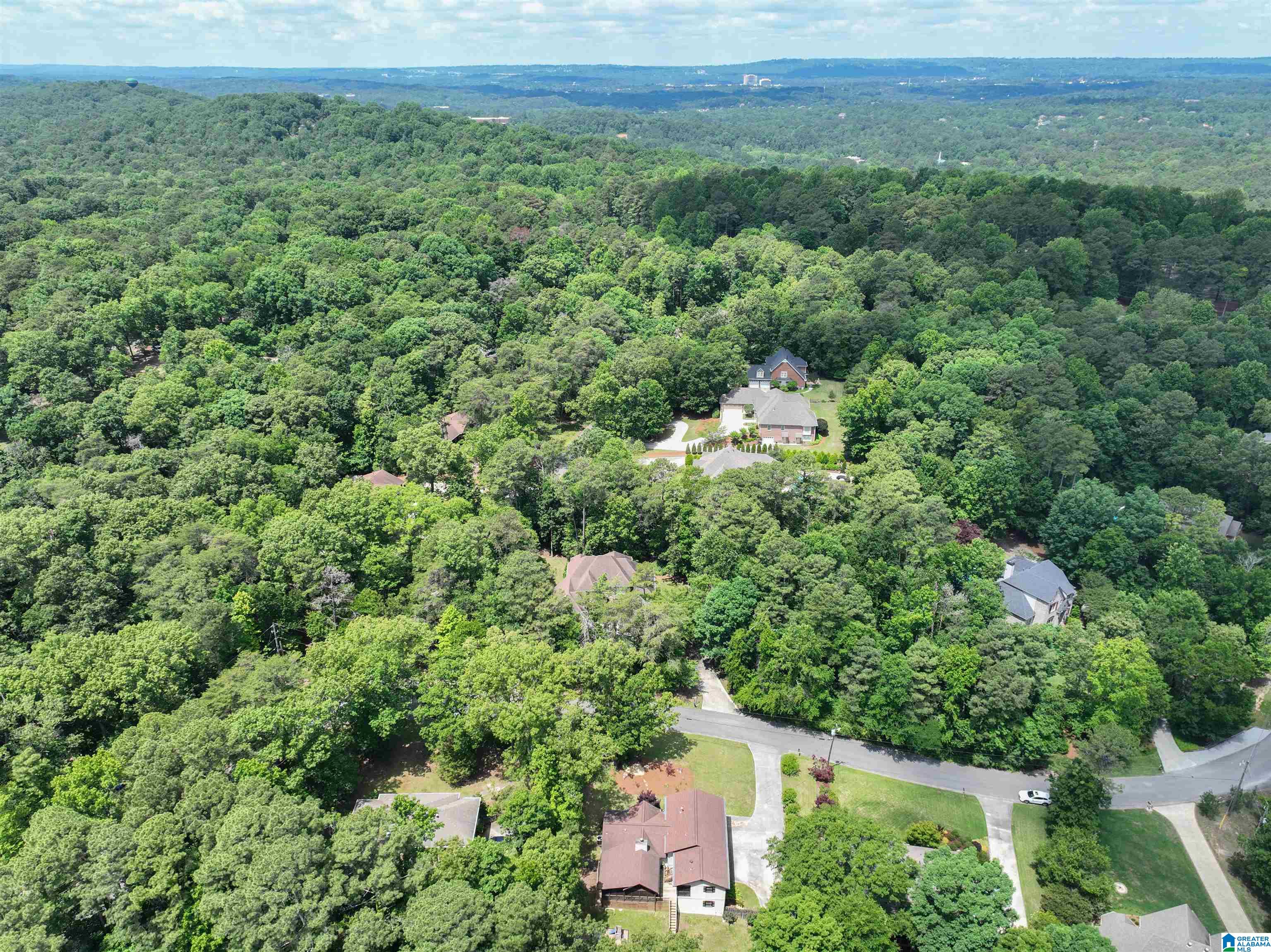 705 New Hope Mountain Road Pelham, AL 35124 - Photo 4 of 69