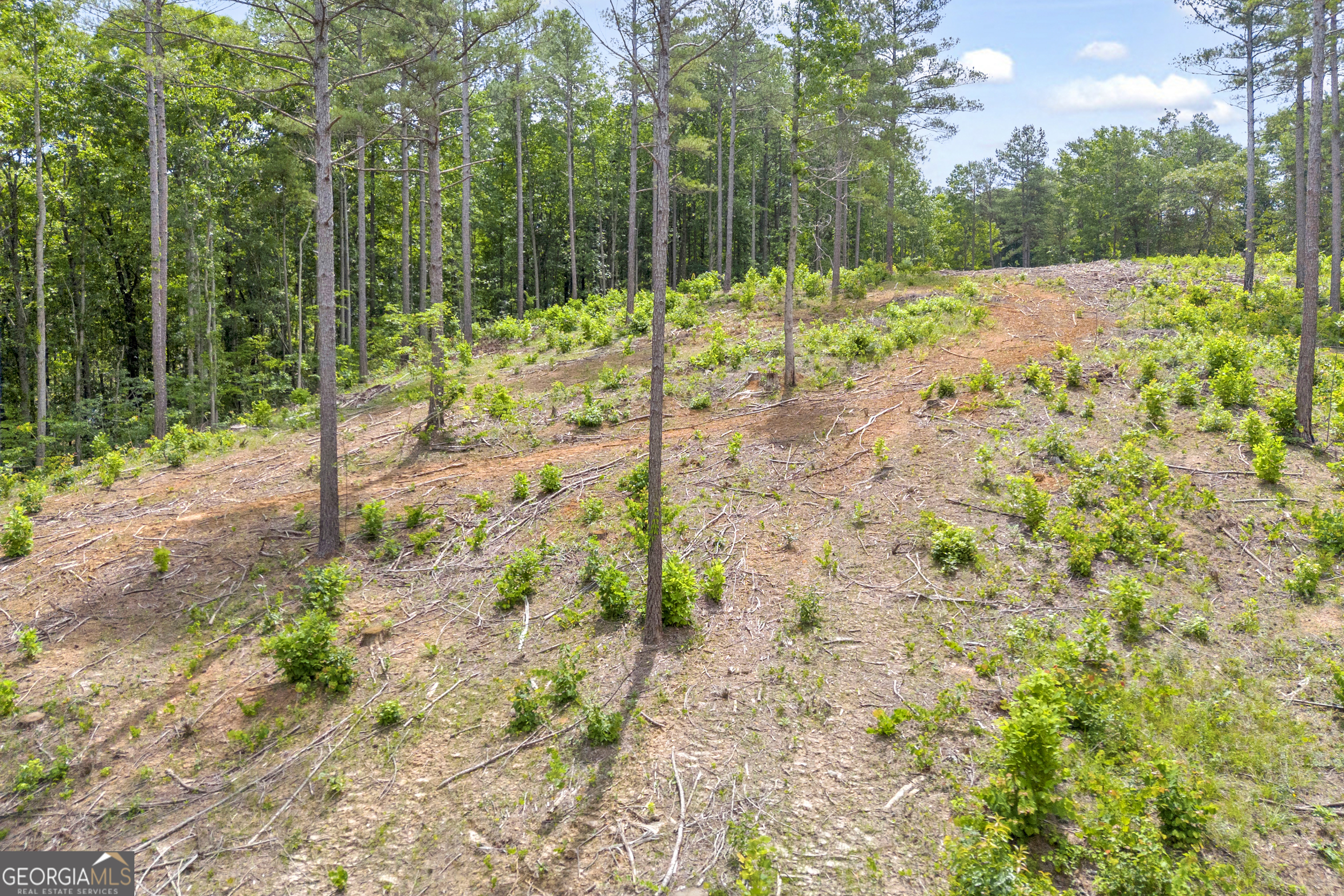 0 Mt Sinai Road, Unit LOT 1 Lula, GA 30554 - Photo 35 of 67