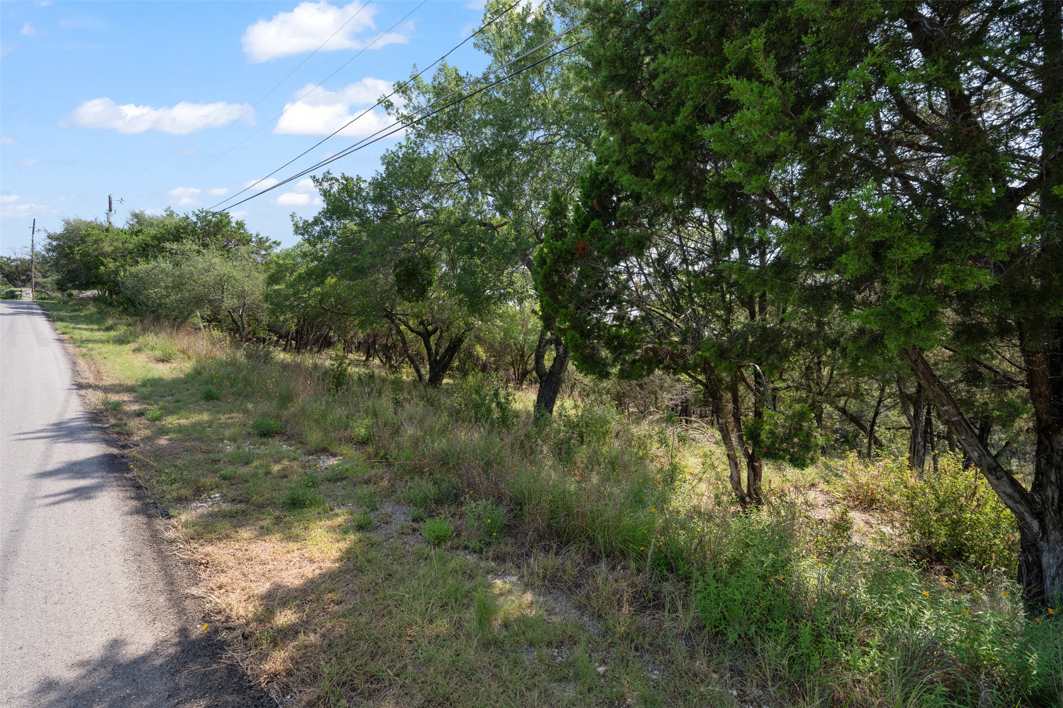 21105 Ridgeview Road Lago Vista, TX 78645 - Photo 17 of 34 Mature trees line this tranquil, undeveloped lot offering natural beauty and privacy.