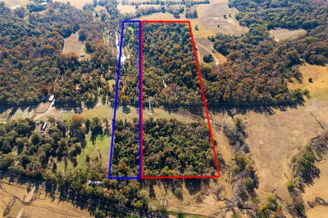 a view of a lot of flowers and trees