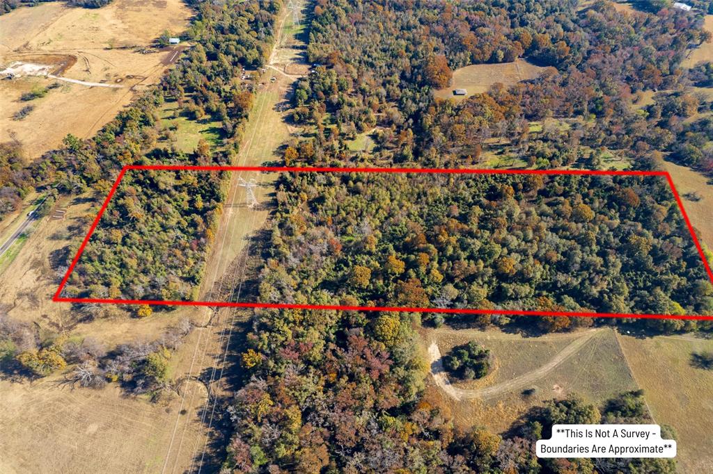 0 Fm 900 Mount Mount Vernon, TX 75457 - Photo 3 of 13